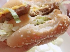 -麦当劳(红旗路店)