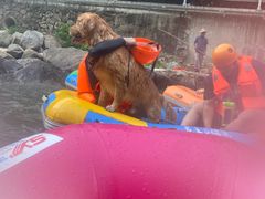 -安吉龙王山峡谷漂流