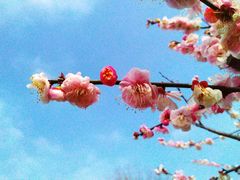 -白马涧龙池景区