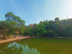 -深圳国际园林花卉博览园