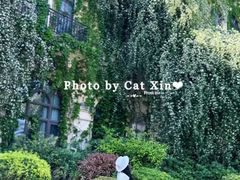 -府河摄影公园