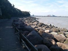 -吴淞炮台湾湿地森林公园烧烤区