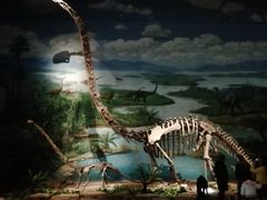 -自贡恐龙博物馆