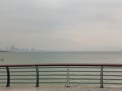 -深圳湾公园(南山区)