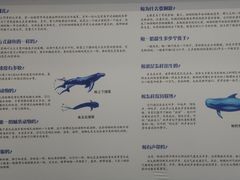 -上海海洋大学鱼文化博物馆(军工路校区)