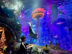 -沈阳海洋探索中心