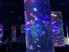 -锦艺城海洋馆