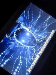 -疯狂冒险家-亲子密室-东坝店(金隅嘉品店)