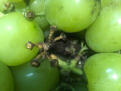 -果蔬好生活超市(乐堤港店)