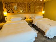 -广州白天鹅宾馆