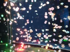 -太平洋海底世界