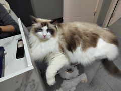 -零纪元VR体验馆·桌游(黄浦店)