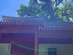 -黄帝陵