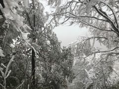 -山王坪喀斯特国家生态公园