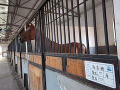 -大连凯洋马术俱乐部有限公司