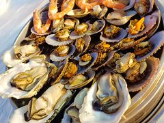 -东夷海鲜巨无霸(东夷小镇店)