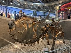 -国家自然博物馆