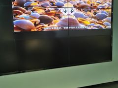 -天津古林古海岸遗迹博物馆