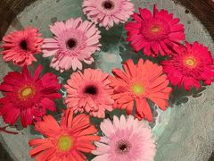 -花马天堂云南餐厅 Lost Heaven(外滩店)