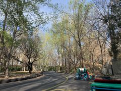 -廊坊市自然公园