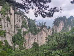 -内乡宝天曼生态旅游区