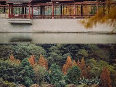-重庆彩云湖湿地公园