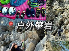 -银峰农庄·特色烧鸡·鲜无花果浸鸡