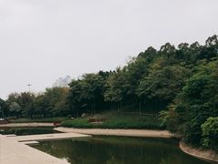 -深圳国际园林花卉博览园