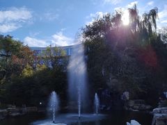 -北京西国贸大酒店