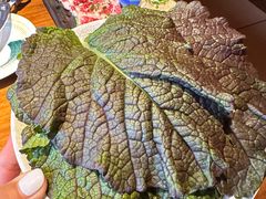 -杉海和牛烧肉海鲜自助(会展城店)