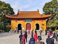 -溱湖国家湿地公园