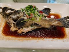 -集贤阁海鲜酒楼(北辰总店)