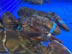 -香山湖渔家大院