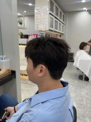 -YESIDO椰岛造型