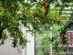 -上海山野camping·户外天幕烧烤·团建拓展营地