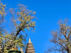 -北京石刻艺术博物馆(五塔寺)