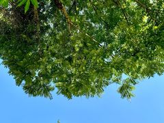 -酷鱼垂钓CLUB(朝阳区博大路店 )