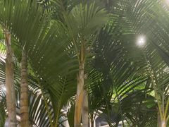 -百姓康洁洗浴中心