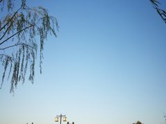 -东台西溪天仙缘景区