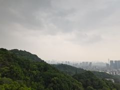 -福道