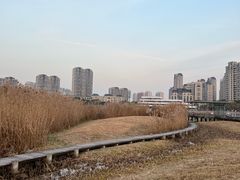-RIVIERA 松鹤楼(外滩店)