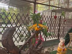 -西双版纳傣族园
