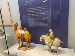 -镇江博物馆