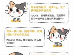 -FAELING PETS美天灵宠物(合生汇店)