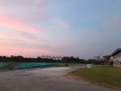 -瑶湖郊野森林公园