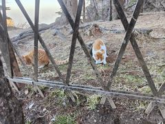 -新安江山水画廊风景区