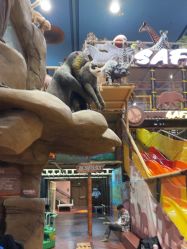 -卡通尼·Safari非洲探索乐园·生日会(金桥国际商业广场店)