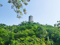 -深圳国际园林花卉博览园