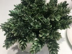 -赛百味(仙林金鹰店)