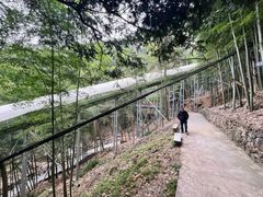 -藏龙百瀑风景区